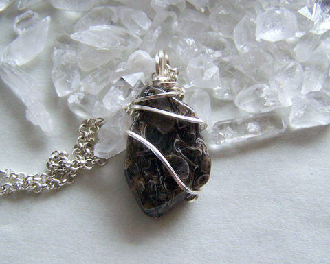 Fossil Shell Natural Agate Wire Wrapped Stone Pendant