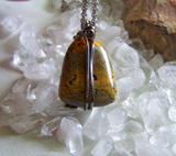 Bumblebee Jasper Wire Wrapped Natural Stone Pendant